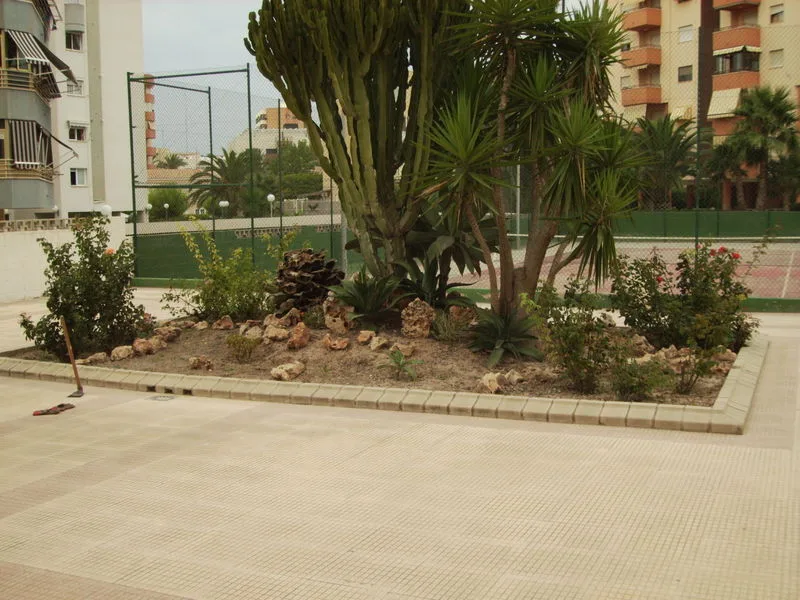 antes-paisajismo-jardin