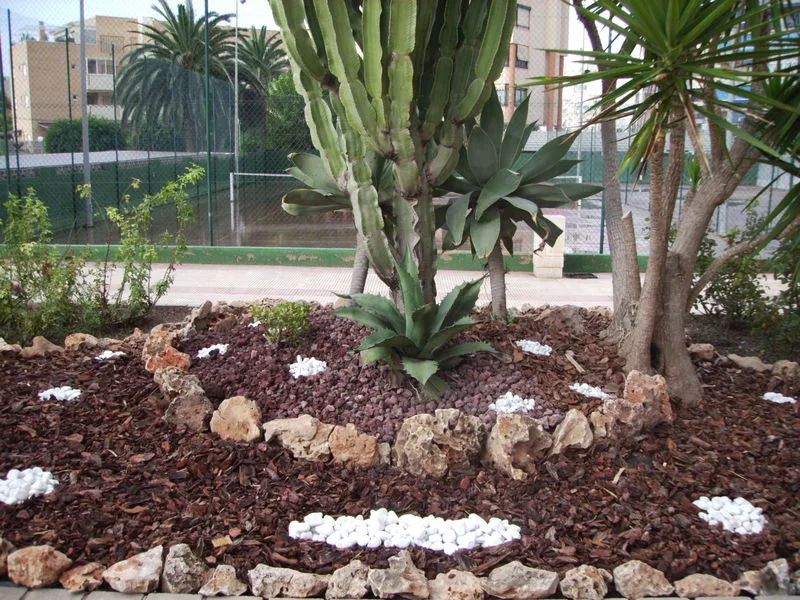 despues-paisajismo-jardin