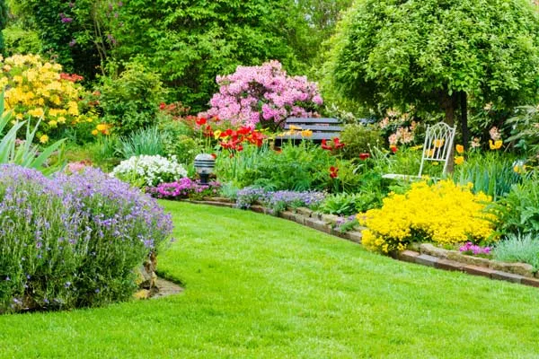 Jardineros Alicante Jardineros Alicante